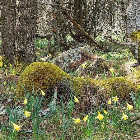 Gites La Boletiere Saint-Étienne-du-Valdonnez Екстериор снимка