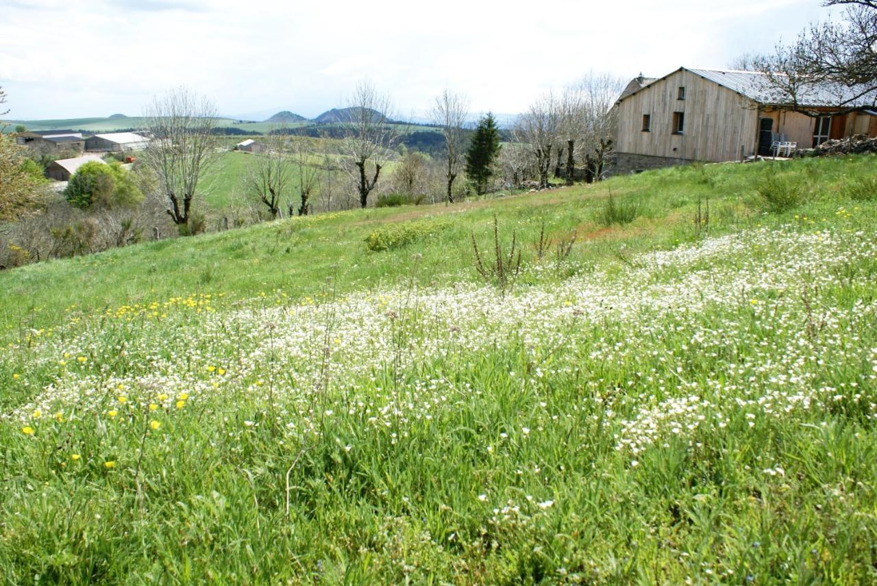Gites La Boletiere Saint-Étienne-du-Valdonnez Екстериор снимка